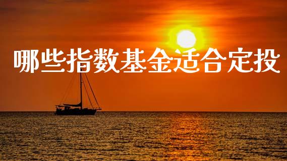 哪些指数基金适合定投_https://wap.kuaijiepai.net_金融科技_第1张