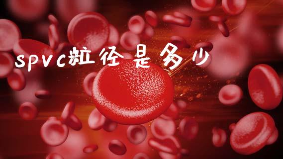 spvc粒径是多少_https://wap.kuaijiepai.net_金融科技_第1张
