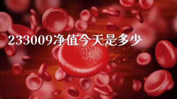 233009净值今天是多少_https://wap.kuaijiepai.net_财务风控_第1张