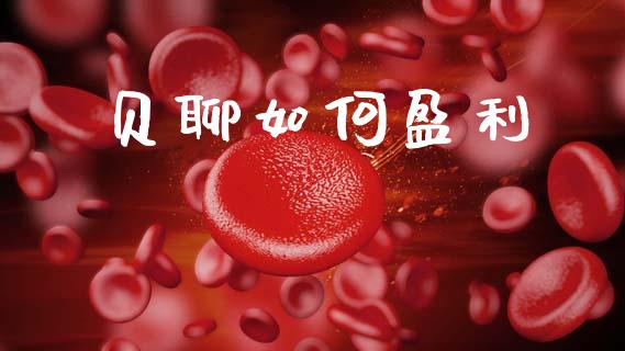 贝聊如何盈利_https://wap.kuaijiepai.net_金融科技_第1张
