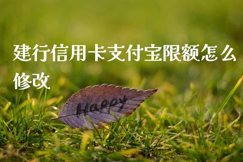 建行信用卡支付宝限额怎么修改_https://wap.kuaijiepai.net_金融科技_第1张