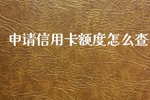 申请信用卡额度怎么查_https://wap.kuaijiepai.net_财务咨询_第1张