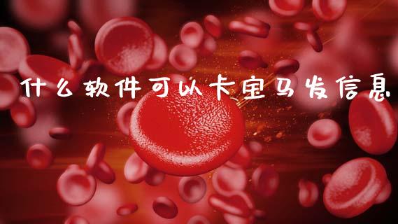 什么软件可以卡宝马发信息_https://wap.kuaijiepai.net_财务风控_第1张