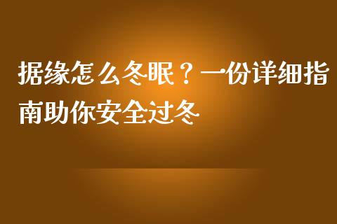 据缘怎么冬眠？一份详细指南助你安全过冬_https://wap.kuaijiepai.net_财务风控_第1张