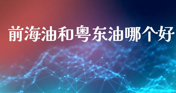 前海油和粤东油哪个好_https://wap.kuaijiepai.net_财务风控_第1张