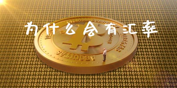 为什么会有汇率_https://wap.kuaijiepai.net_外汇交易_第1张