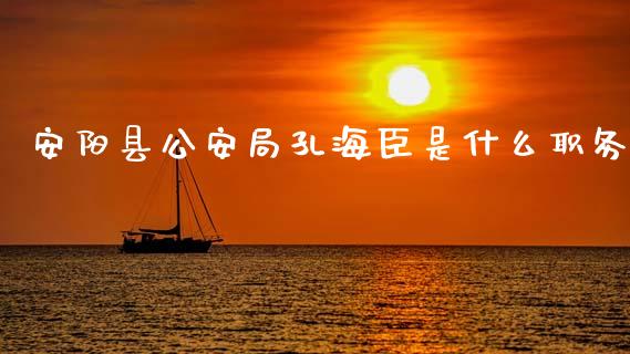 安阳县公安局孔海臣是什么职务_https://wap.kuaijiepai.net_财务咨询_第1张