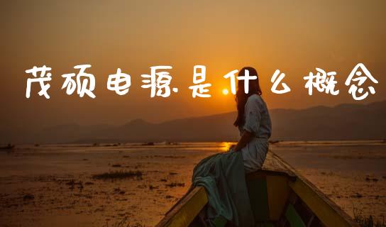 茂硕电源是什么概念_https://wap.kuaijiepai.net_财务咨询_第1张