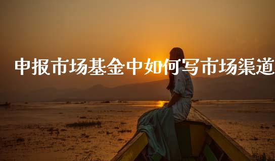 申报市场基金中如何写市场渠道_https://wap.kuaijiepai.net_金融科技_第1张