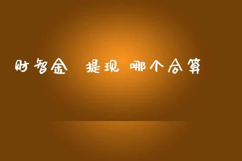 财智金  提现 哪个合算_https://wap.kuaijiepai.net_财务咨询_第1张