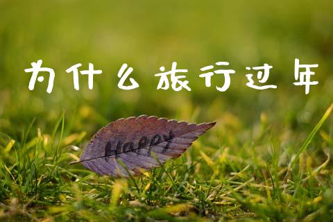为什么旅行过年_https://wap.kuaijiepai.net_外汇交易_第1张
