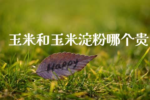 玉米和玉米淀粉哪个贵_https://wap.kuaijiepai.net_财务风控_第1张