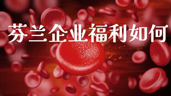 芬兰企业福利如何_https://wap.kuaijiepai.net_财务风控_第1张