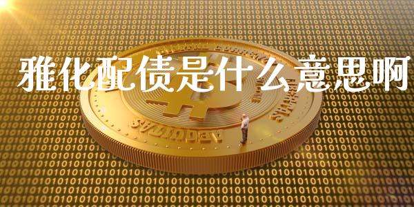 雅化配债是什么意思啊_https://wap.kuaijiepai.net_外汇交易_第1张
