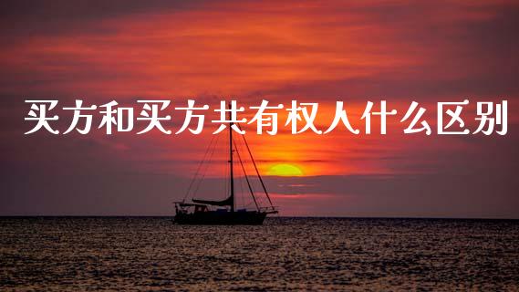 买方和买方共有权人什么区别_外汇交易_第1张_金融科技_财务风控_外汇交易_财务咨询 买方和买方共有权人什么区别_https://wap.kuaijiepai.net_外汇交易_第1张