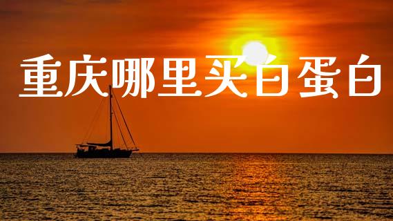 重庆哪里买白蛋白_https://wap.kuaijiepai.net_外汇交易_第1张
