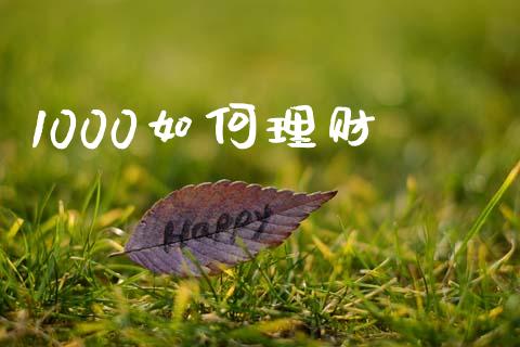 1000如何理财_https://wap.kuaijiepai.net_财务风控_第1张