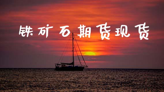 铁矿石期货现货_https://wap.kuaijiepai.net_财务风控_第1张