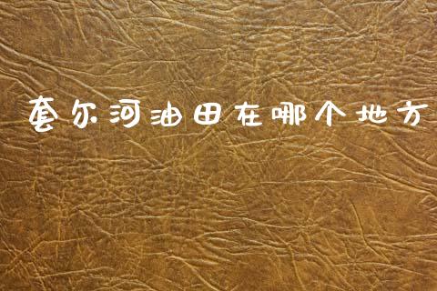 套尔河油田在哪个地方_https://wap.kuaijiepai.net_外汇交易_第1张