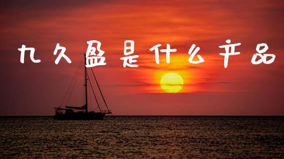 九久盈是什么产品_https://wap.kuaijiepai.net_金融科技_第1张