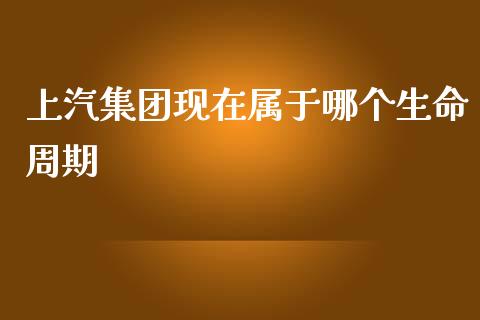 上汽集团现在属于哪个生命周期_https://wap.kuaijiepai.net_金融科技_第1张