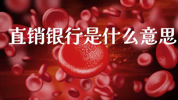 直销银行是什么意思_https://wap.kuaijiepai.net_外汇交易_第1张