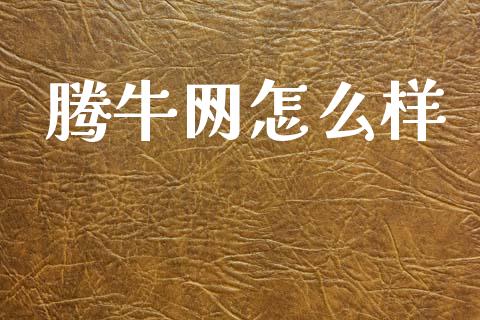 腾牛网怎么样_https://wap.kuaijiepai.net_财务咨询_第1张