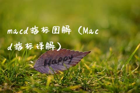 macd指标图解(Macd指标详解)_财务咨询_第1张_金融科技_财务风控_外汇交易_财务咨询 macd指标图解(Macd指标详解)_https://wap.kuaijiepai.net_财务咨询_第1张