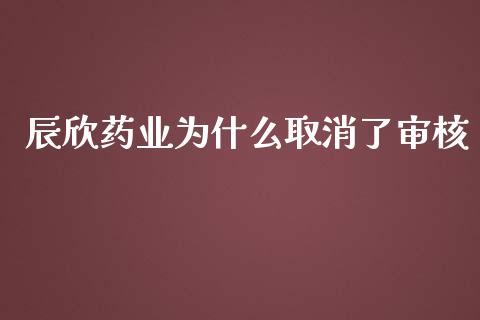 辰欣药业为什么取消了审核_https://wap.kuaijiepai.net_财务咨询_第1张