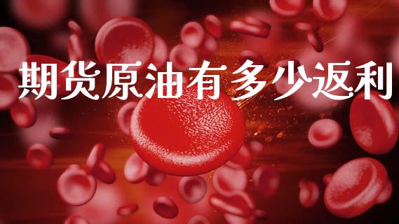 期货原油有多少返利_https://wap.kuaijiepai.net_金融科技_第1张