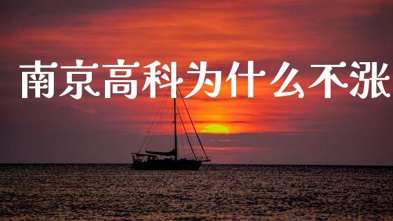 南京高科为什么不涨_https://wap.kuaijiepai.net_外汇交易_第1张