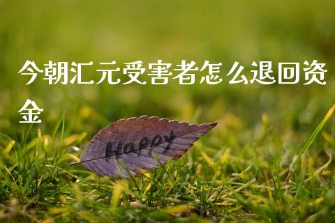 今朝汇元受害者怎么退回资金_https://wap.kuaijiepai.net_财务风控_第1张