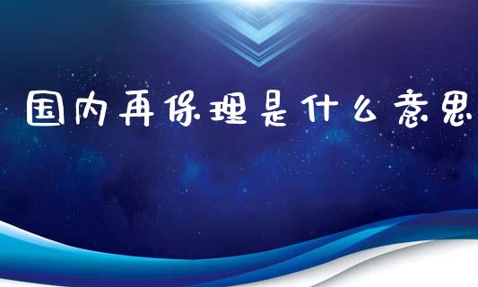国内再保理是什么意思_https://wap.kuaijiepai.net_财务风控_第1张