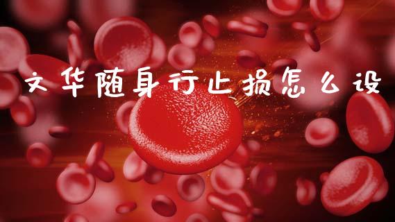 文华随身行止损怎么设_https://wap.kuaijiepai.net_财务风控_第1张