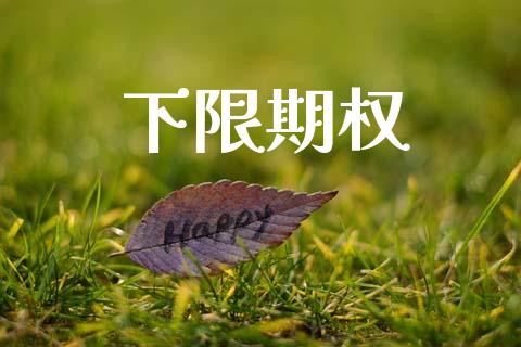 下限期权_https://wap.kuaijiepai.net_金融科技_第1张