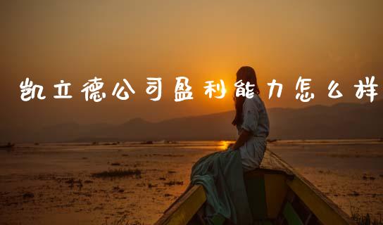 凯立德公司盈利能力怎么样_https://wap.kuaijiepai.net_外汇交易_第1张