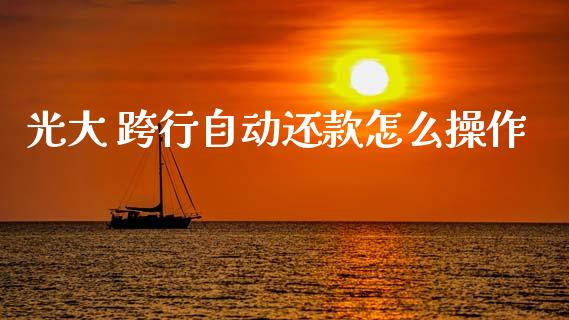 光大 跨行自动还款怎么操作_https://wap.kuaijiepai.net_外汇交易_第1张
