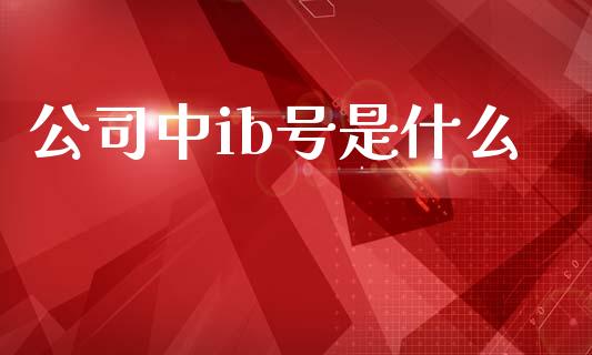 公司中ib号是什么_https://wap.kuaijiepai.net_金融科技_第1张