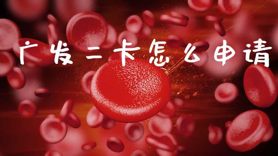 广发二卡怎么申请_https://wap.kuaijiepai.net_财务风控_第1张