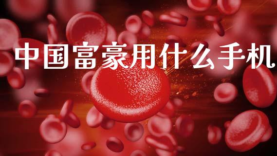 中国富豪用什么手机_https://wap.kuaijiepai.net_财务咨询_第1张