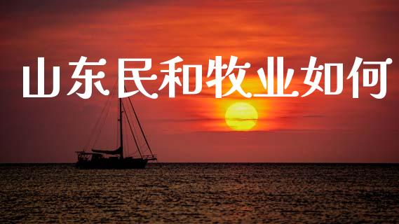 山东民和牧业如何_https://wap.kuaijiepai.net_金融科技_第1张