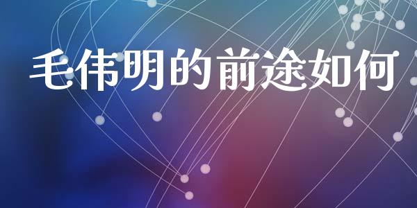 毛伟明的前途如何_https://wap.kuaijiepai.net_财务风控_第1张