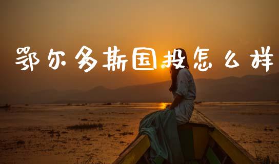 鄂尔多斯国投怎么样_https://wap.kuaijiepai.net_财务咨询_第1张