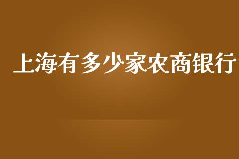 上海有多少家农商银行_https://wap.kuaijiepai.net_财务咨询_第1张