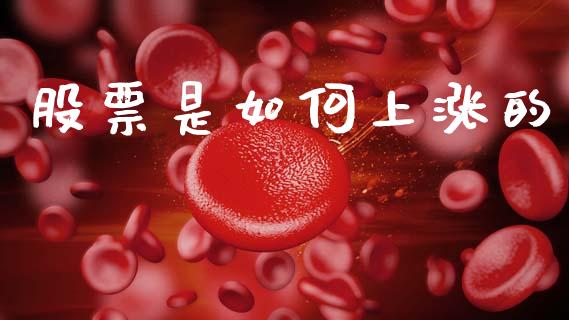 股票是如何上涨的_https://wap.kuaijiepai.net_外汇交易_第1张