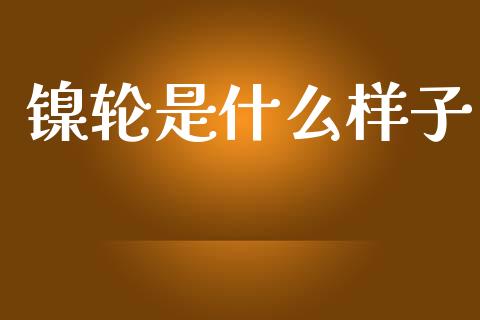 镍轮是什么样子_https://wap.kuaijiepai.net_金融科技_第1张