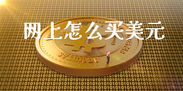 网上怎么买美元_https://wap.kuaijiepai.net_外汇交易_第1张
