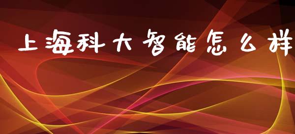 上海科大智能怎么样_https://wap.kuaijiepai.net_金融科技_第1张