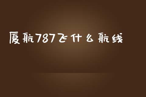 厦航787飞什么航线_https://wap.kuaijiepai.net_财务咨询_第1张