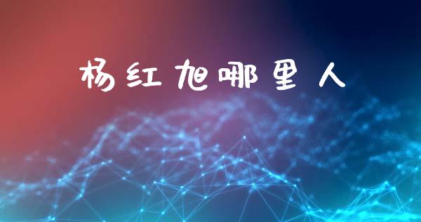 杨红旭哪里人_https://wap.kuaijiepai.net_金融科技_第1张